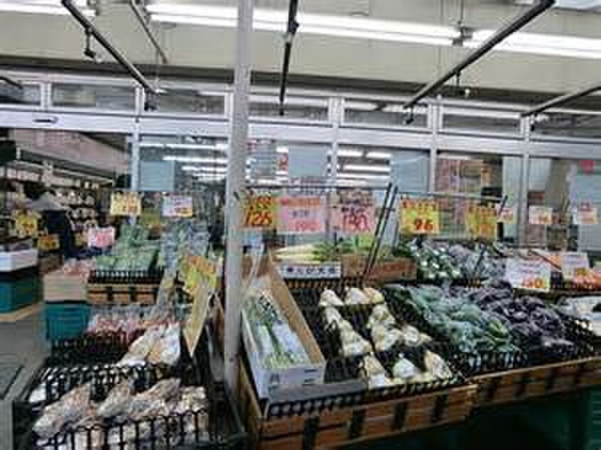 スーパーマルトモ山元町(スーパー)まで600m パテイオ横濱