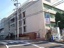 平楽中学校(中学校/中等教育学校)まで300m パテイオ横濱