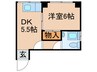 橋本ビル 1DKの間取り