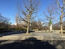 猿江恩賜公園(公園)まで220m フジハイツ