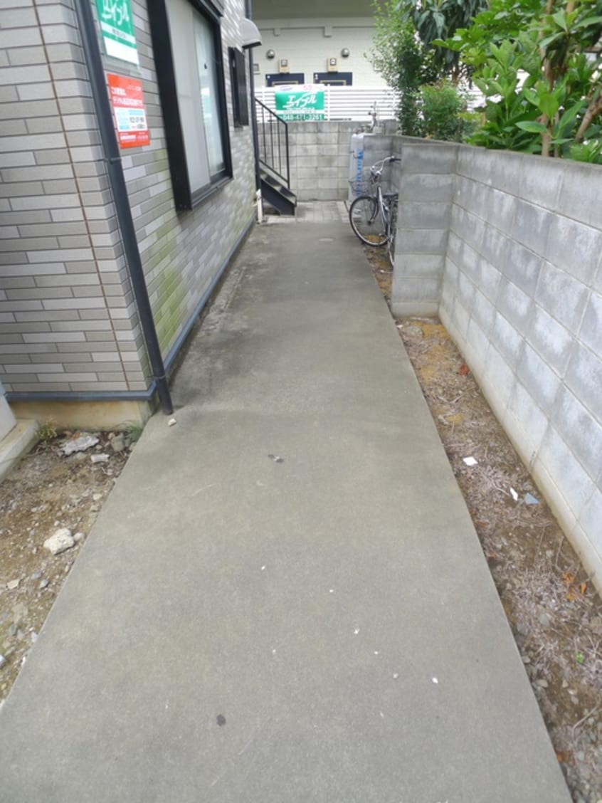 その他 アレックス