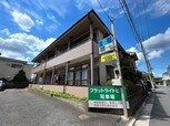フラットライトピア