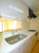 キッチン リーベスト東中山(304)