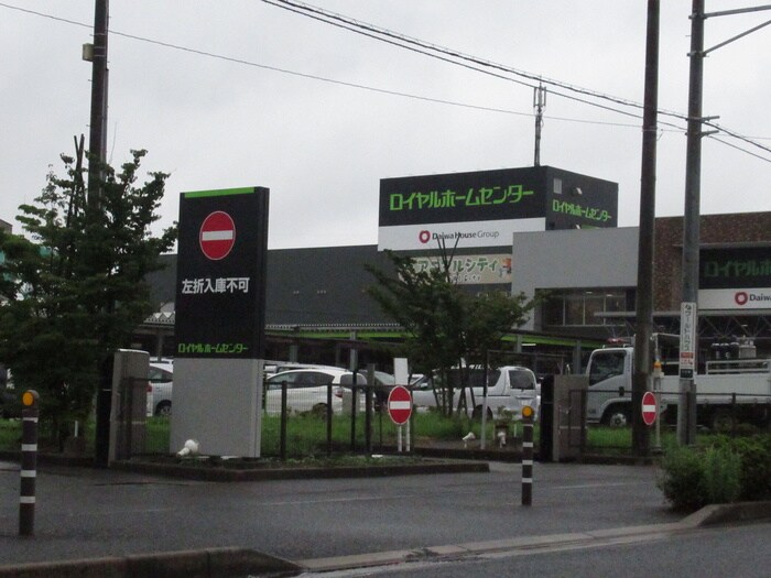 ロイヤルホームセンター(電気量販店/ホームセンター)まで2000m グランドール