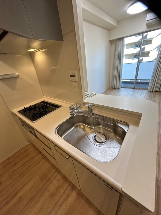 キッチン ルミナリータワー池袋(608)