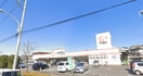スーパーオザム　代継店(スーパー)まで364m グランド－ル秋川