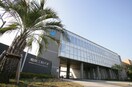 湘南工科大学(大学/短大/専門学校)まで260m ベルコート湘南