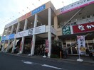 ライフガーデン綱島店(ショッピングセンター/アウトレットモール)まで260m 第一チェリーハイツ(305)