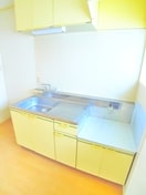 キッチン ハイネスＵ