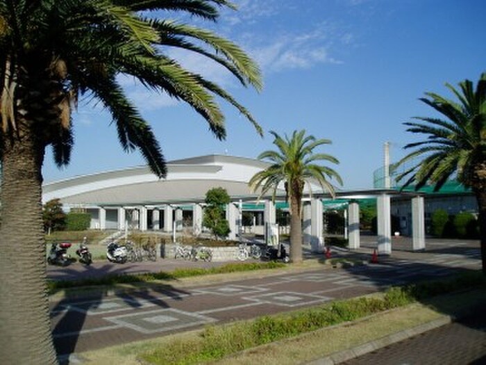 鵠沼運動公園(公園)まで965m ピアオリーブ