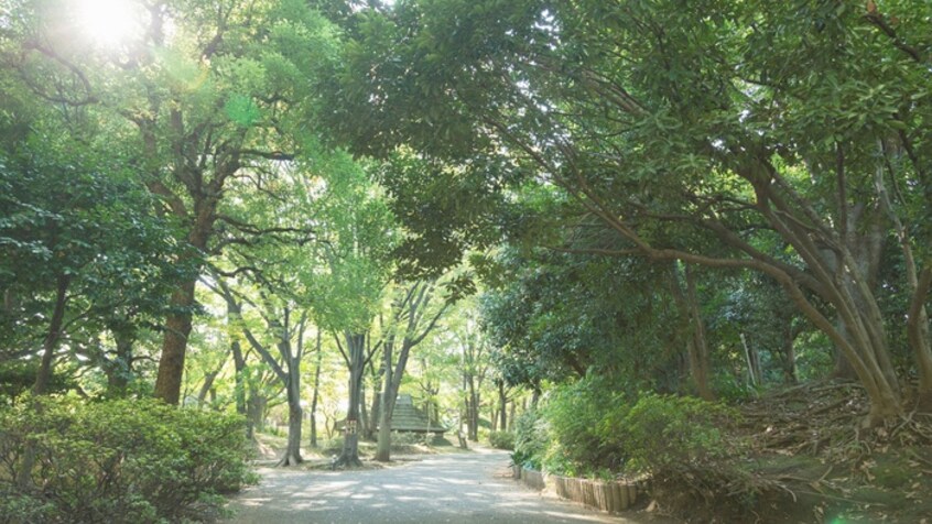 中野区立 平和の森公園(公園)まで450m Ｊ･ｶｽｶｰﾀ