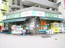 くすり城南(ドラッグストア)まで500m カスタリア南麻布