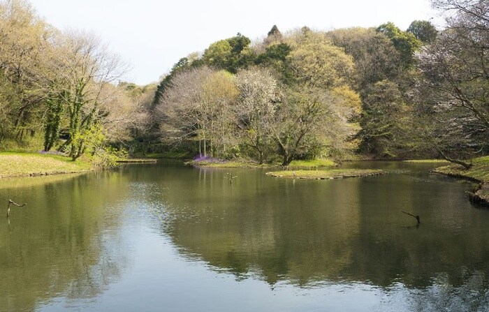 座間谷戸山公園(公園)まで1045m リゾン・フル－ル