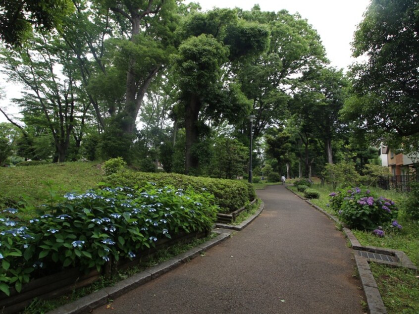 駒沢緑泉公園(公園)まで256m マイステージ駒沢公園(401)