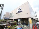 ケーヨーデイツー鹿骨店(電気量販店/ホームセンター)まで678m 第２酒井マンション