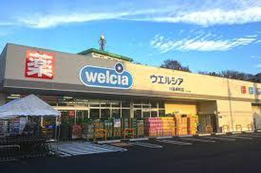 ウェルシア川越岸町店(ドラッグストア)まで600m ドルチェ　ヴィラ