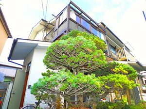 関谷貸家