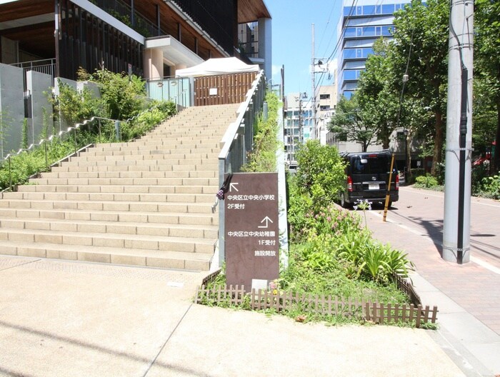 中央小学校(小学校)まで900m ALTERNA銀座