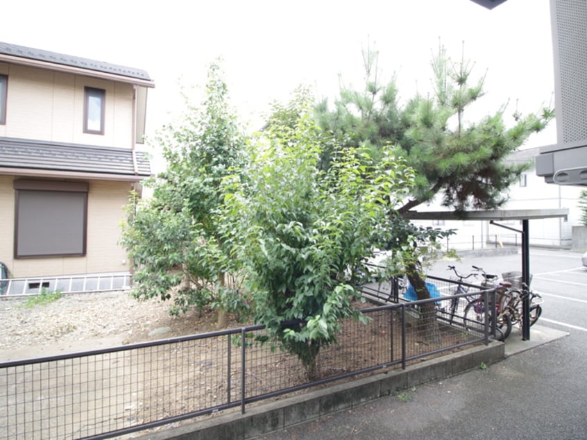 室内からの展望 サンライズＣ