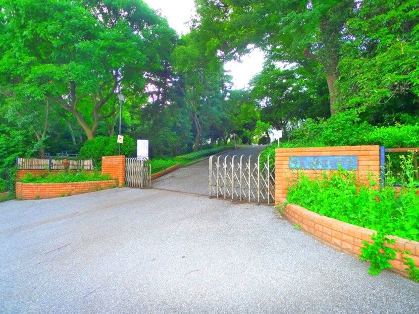 千葉大学(大学/短大/専門学校)まで1322m CLAREGRACE松戸