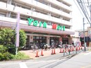 ヨークマート 桜上水店(スーパー)まで528m コ－ポ峰