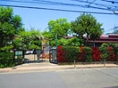 バオバブ保育園(幼稚園/保育園)まで337m グリ－ンフィ－ルド