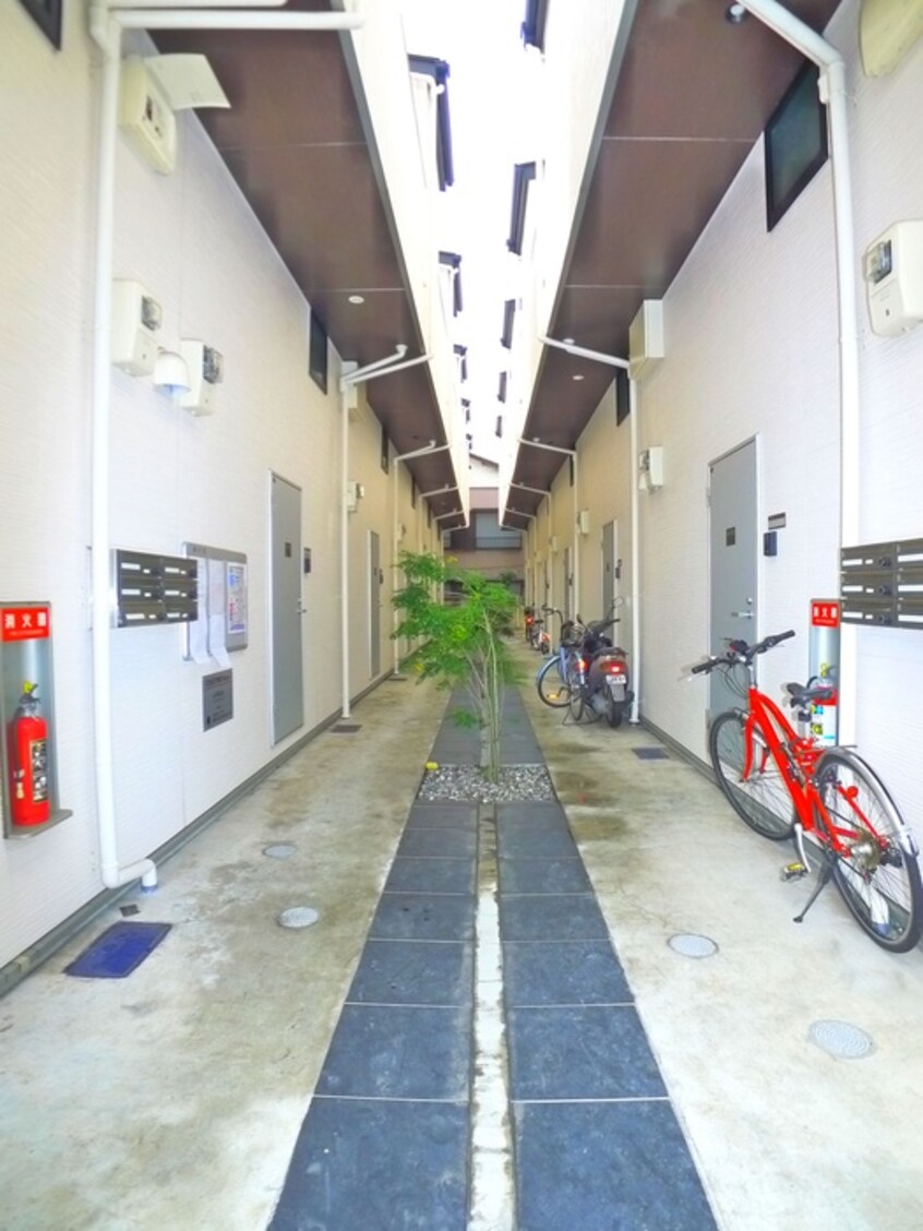 その他 LUTELLA