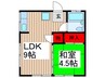 光泉荘 1LDKの間取り