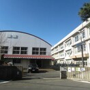 大津小学校(小学校)まで92m カサフェニックス