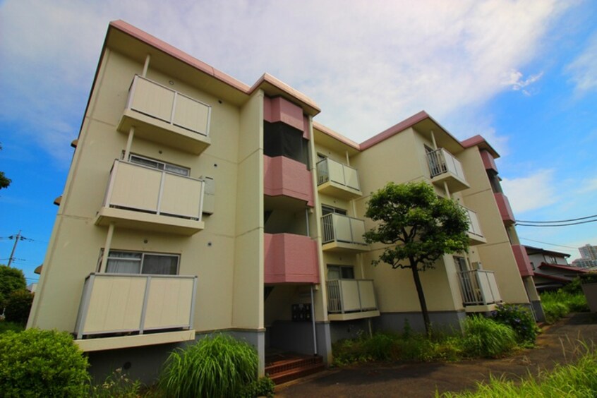 その他 ｾﾝﾁｭﾘｰﾊｲﾂつくし野１号棟