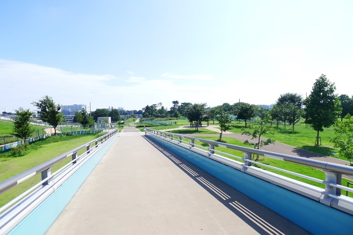 都立 東伏見公園(公園)まで1200m サンライズハウス