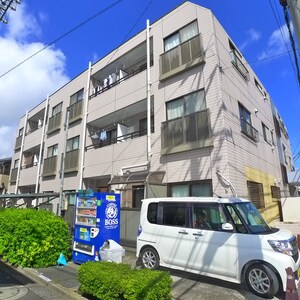 パインニードル