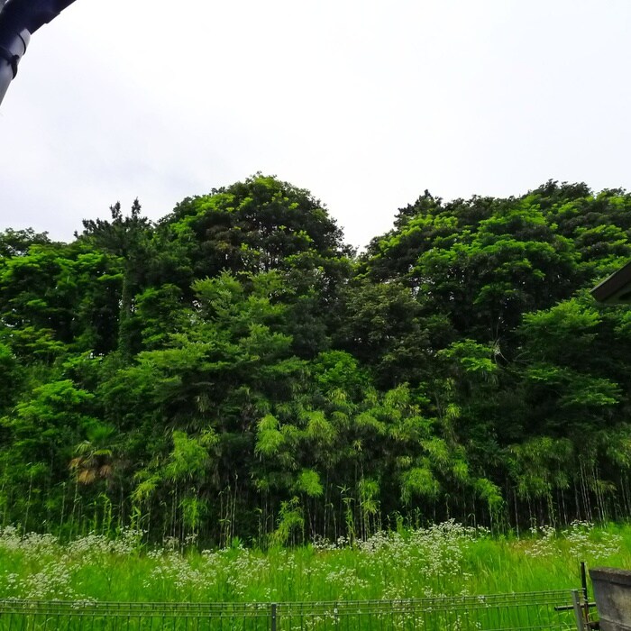 室内からの展望 リブリ・谷津