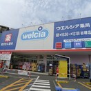 ウェルシア谷塚店(ドラッグストア)まで1200m 第２戸張荘