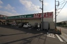 セイムス(ドラッグストア)まで348m アルスノ－ヴァⅡ