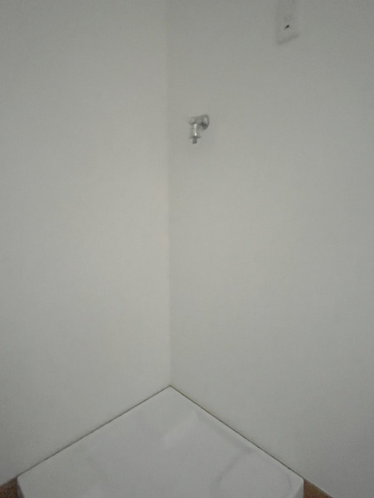 洗濯機置場 可愛マンション