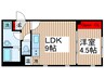 CASA PIAZZA 新小岩 1LDKの間取り