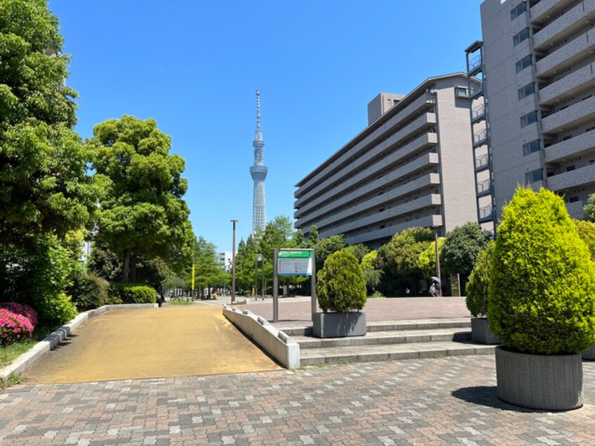 大横川親水公園(公園)まで104m レピュア両国レジデンス