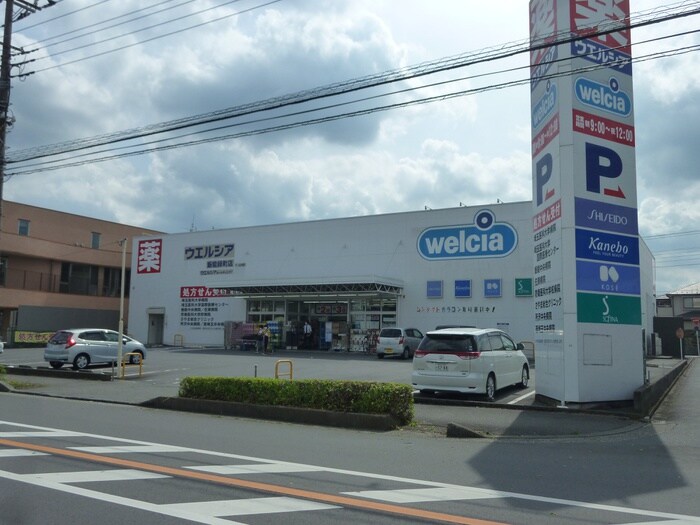 ウエルシア飯能緑町店(ドラッグストア)まで703m センティア山崎