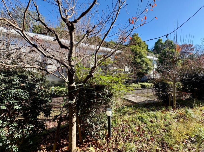 室内からの展望 ドルフ喜多見Ｓ棟