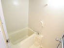バス／シャワールーム等 ヤマザキエムハイツ（３０５）