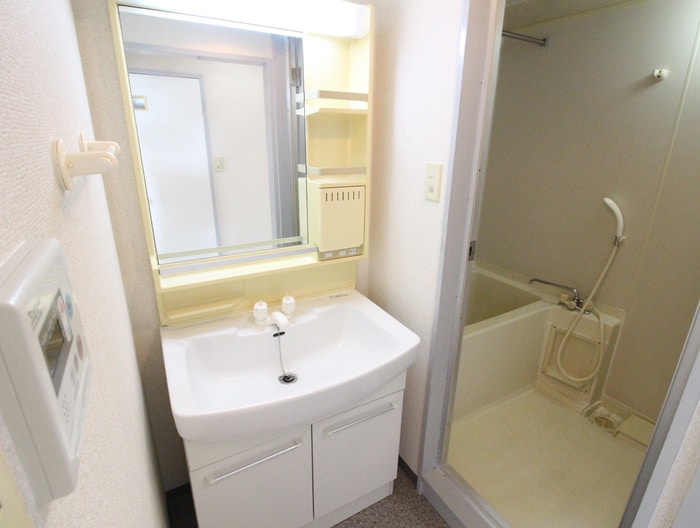 洗面 ヤマザキエムハイツ（３０５）