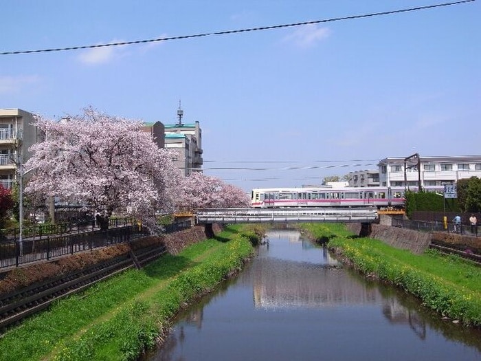 野川(公園)まで240m オークフジ