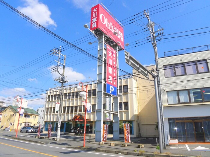 大川家具(電気量販店/ホームセンター)まで330m リコルテ北大宮