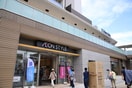 イオンスタイル横浜瀬谷店(スーパー)まで750m ｍｉｎｅｒｕｍｏ　ＳＥＹＡ