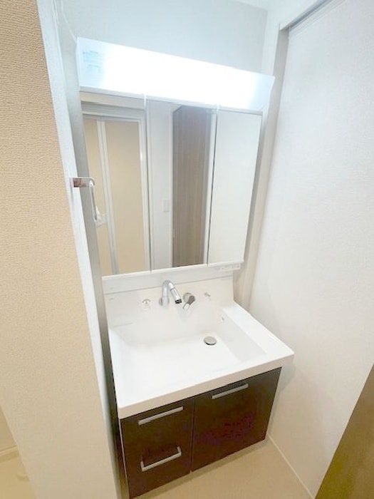 洗面 エリピアロフォ