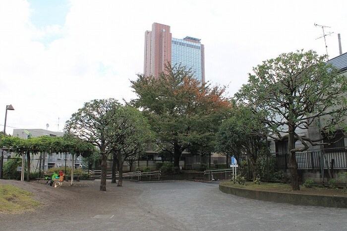 西太子堂公園(公園)まで210m フォ－シム三軒茶屋