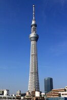 スカイツリー(美術館/博物館)まで1690m グレース・スリー亀戸