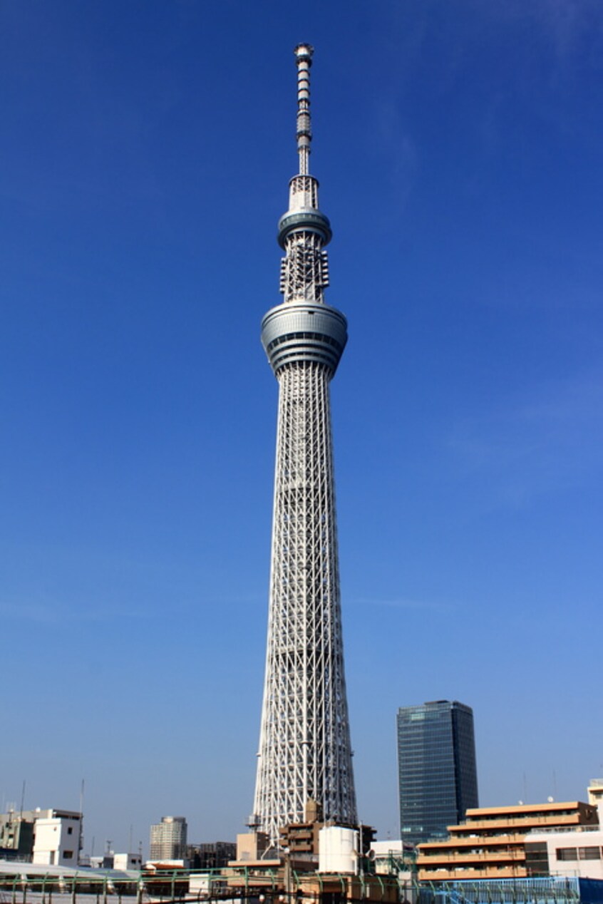 スカイツリー(美術館/博物館)まで1690m グレース・スリー亀戸