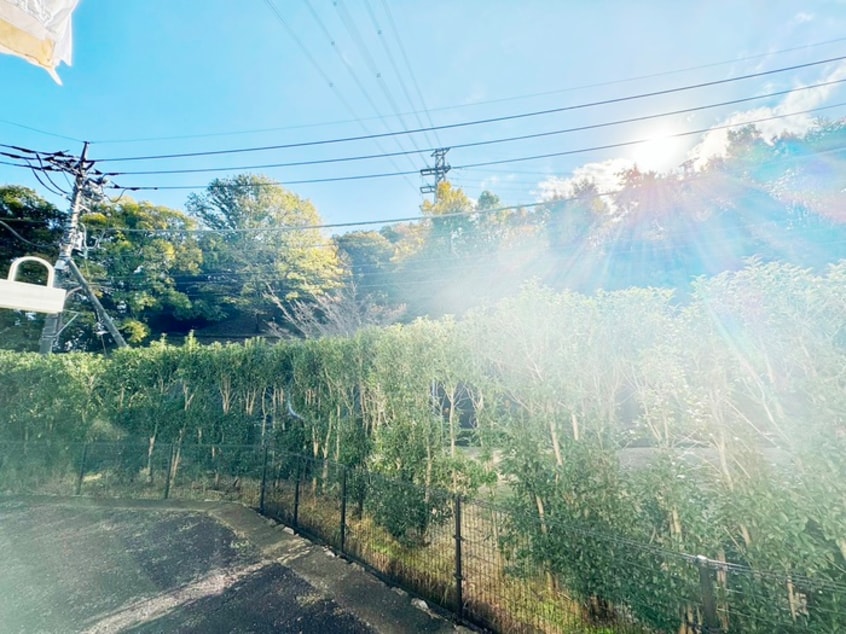 室内からの展望 メゾンやまさき